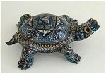 Turtle Baby